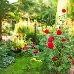 ゲストハウス Rosa