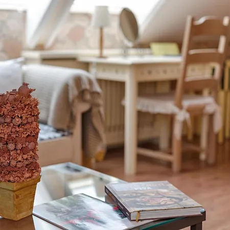 Guest house Rosa