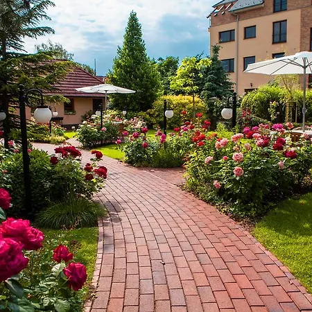 Rosa Guest house Dunajska Streda