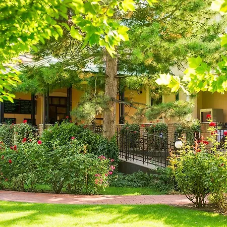 Rosa Guest house
