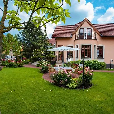 Rosa Guest house
