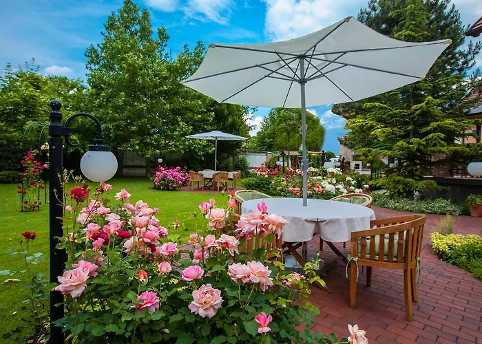 Rosa 3*