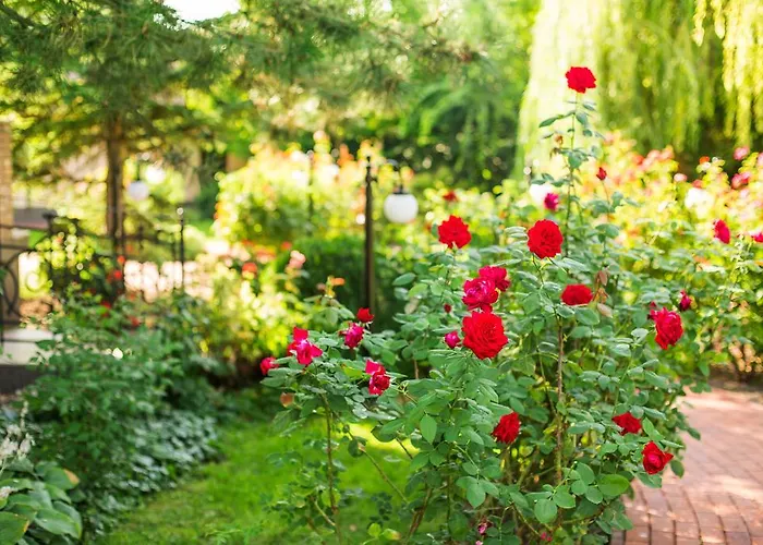 Pensionat Rosa